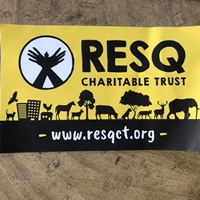 RESQ Bumper Stickers Big