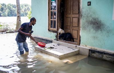 Jeevoka - Bringing Hope to Flood-Affected Animals in Kerala