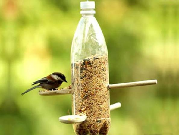 Homemade Plastic Bottle Bird Water Feeder 