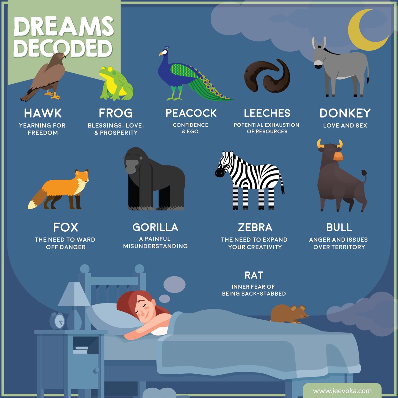 Wild Dream Meaning 