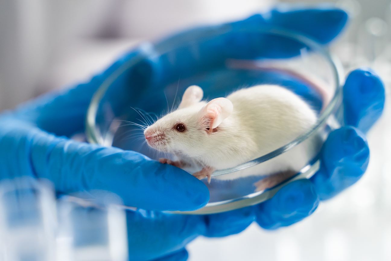 Top 190 + Laboratory experiments on animals - Lestwinsonline.com