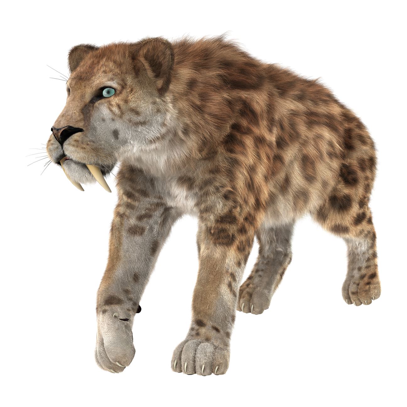 A picture of the sabre-toothed feline which today's tiger's descend from. The feline has sharp, pointy, protruding canines.