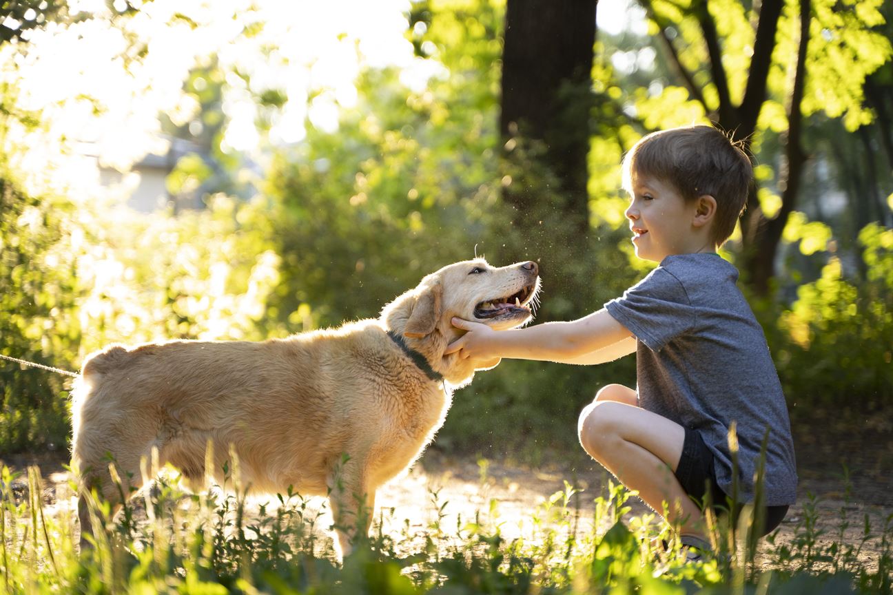 A child crouching down and petting a golden retriever dog on the head in a park. The dog is looking up at the child with its mouth open. The background shows trees and grass in the sunlight.