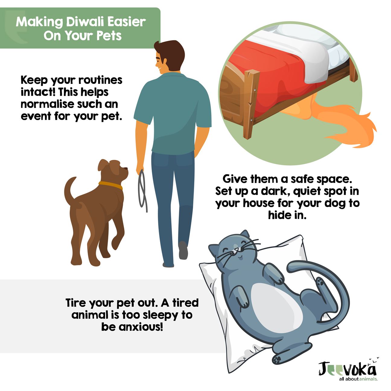 Jeevoka - Tips to Help Your Animal Remain Stress-Free This Diwali!
