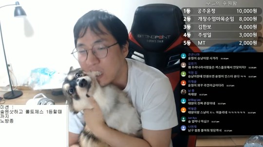Youtuber identified as Sseungnyangie biting and hitting his puppy multiple times during an online stream 