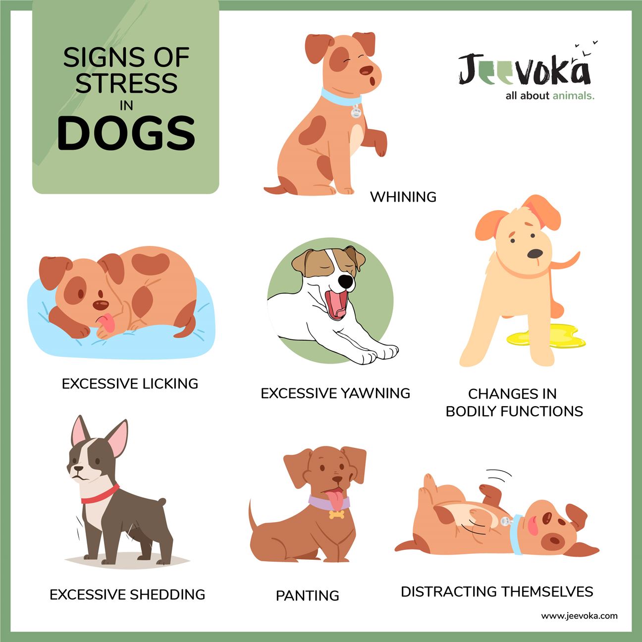 what are the signs of a stressed dog